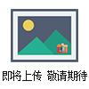 人PL12抗體/抗丙氨酰tRNA合成酶（PL12/AlaRS）ELISA試劑盒